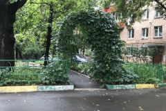 Мещанский, Гришина В., Наш дворик, 2018г., 25.07.2018